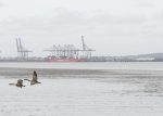 Hoo Docks and Canada Geese Photo Jonathan Juniper