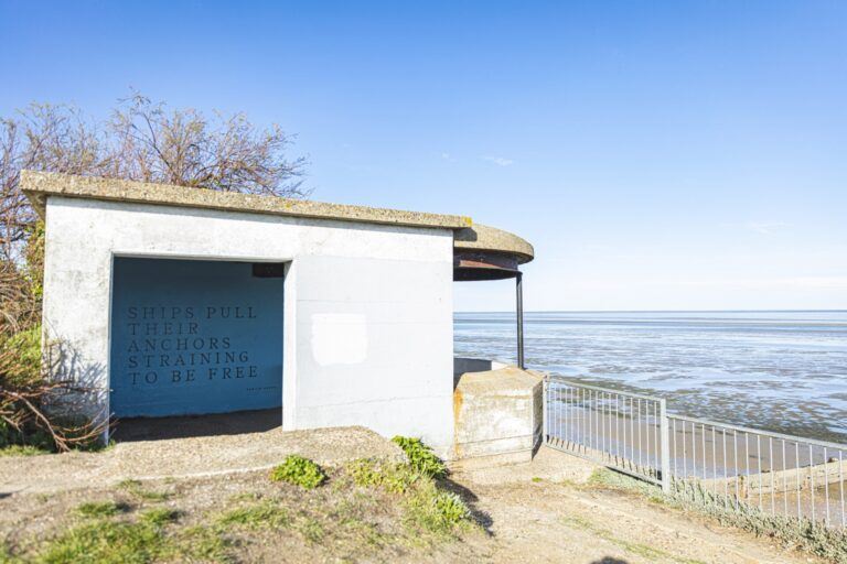 Final murals from Estuary 2021 (credit: Joe and Charlotte)