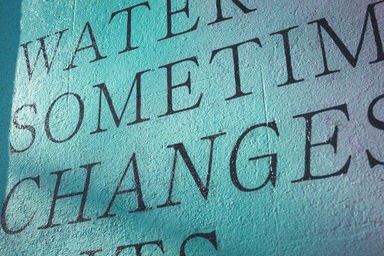 Final murals from Estuary 2021 (credit: Joe and Charlotte)