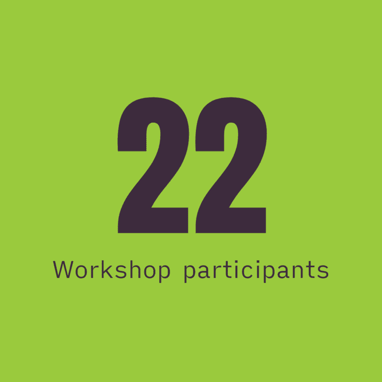 22 workshop participants